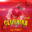 Dj Pitbul - Clubnika Life Mix