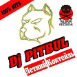 DJ PITBUL - ЛЕТНИЙ КОКТЕЙЛЬ