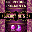 DJ PITBUL - LUXURY HITS 2