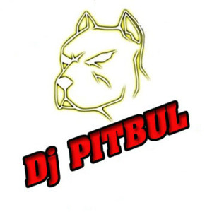 DJ PITBUL - КЛУБНАЯ СИБИРЬ 1