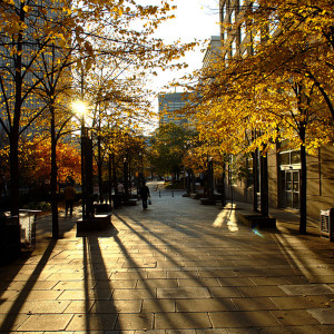 AUTUMN DAY SLAWA SET LIFE MIX