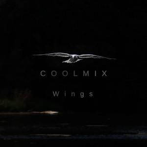 COOLMIX - Wings